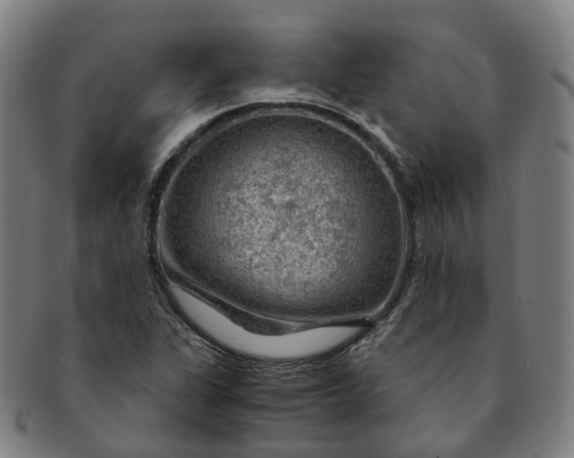 X0000091011311200708241503