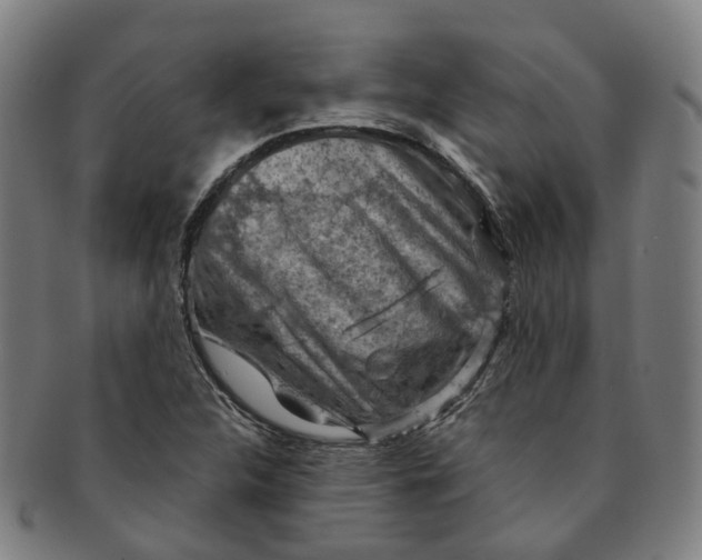 X0000091011312200708241503