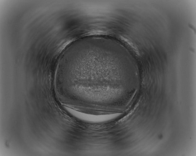 X0000091011313200708241503