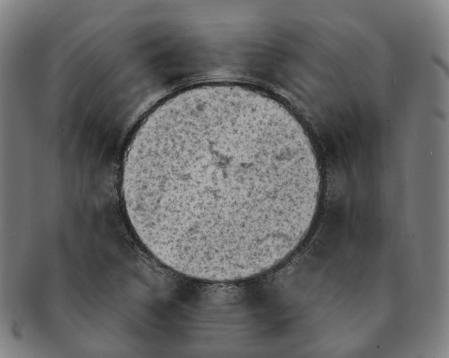 X0000091011314200708241503