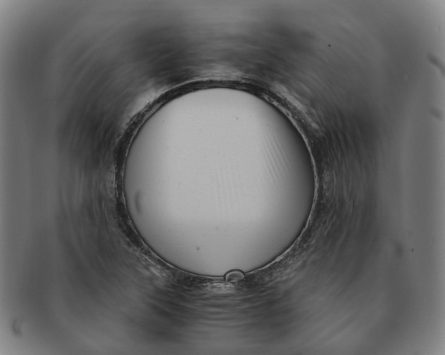 X0000091011315200708241503