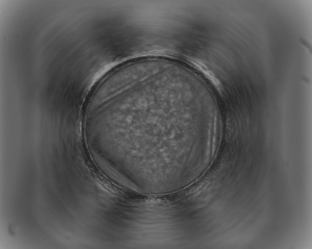 X0000091011316200708241503