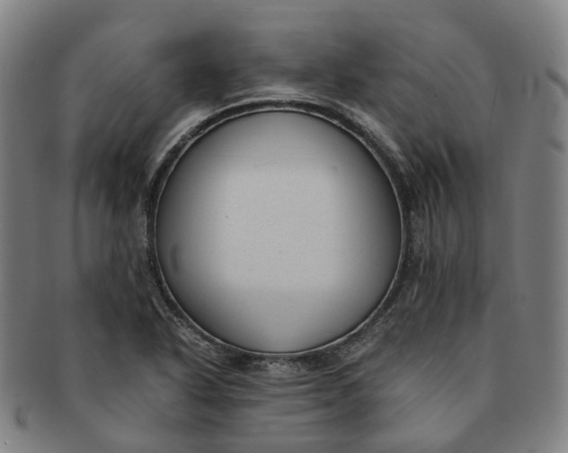 X0000091011318200708241503