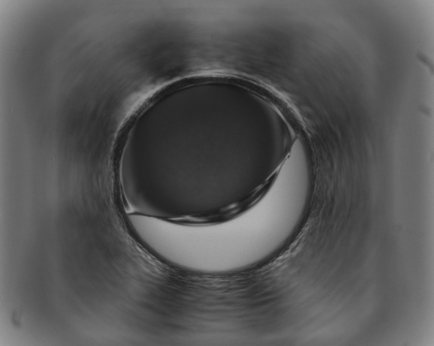 X0000091011319200708241503