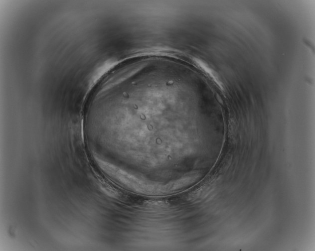 X0000091011320200708241503