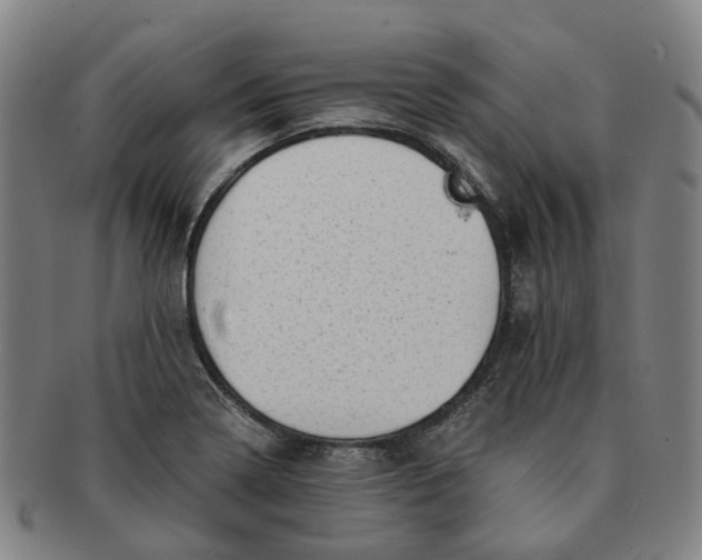 X0000091011322200708241503