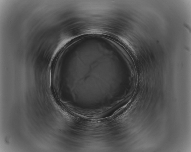 X0000091011323200708241503