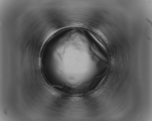 X0000091011324200708241503