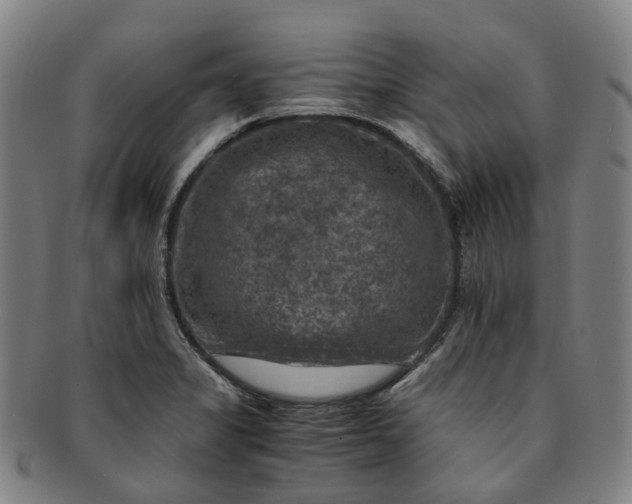 X0000091011325200708241503