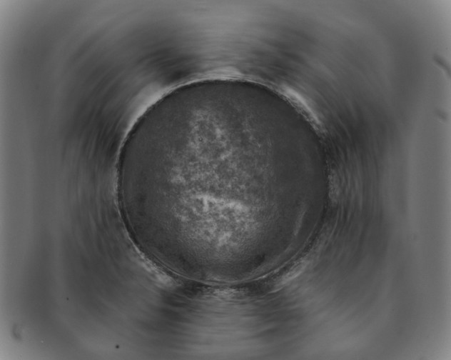 X0000091011326200708241503