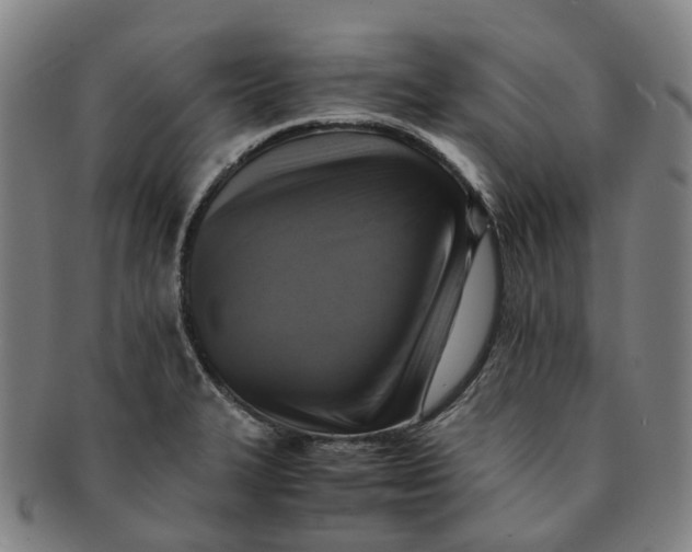 X0000091011327200708241503