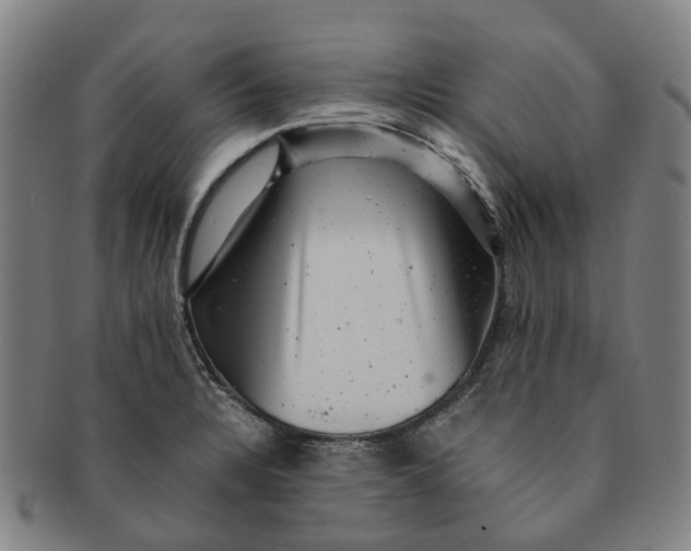 X0000091011328200708241503