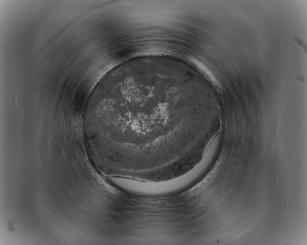 X0000091011329200708241503