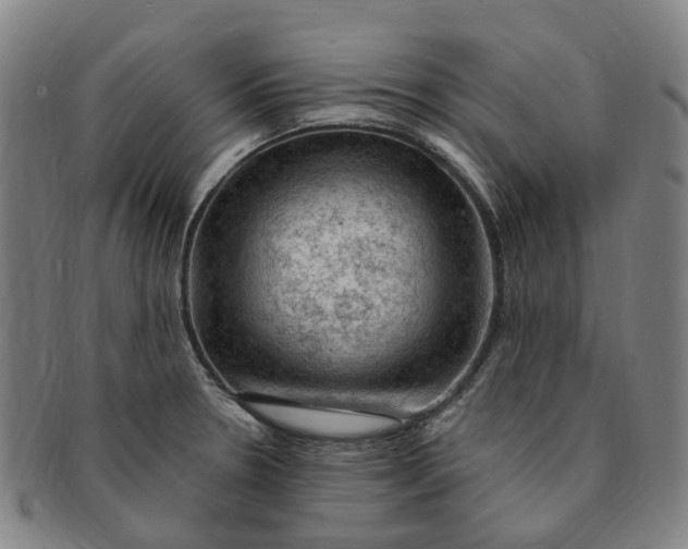 X0000091011330200708241503