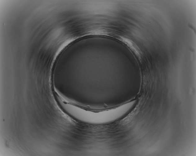 X0000091011331200708241503