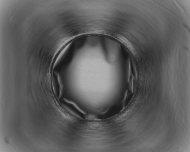 X0000091011332200708241504