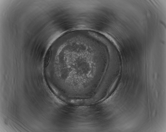 X0000091011333200708241504