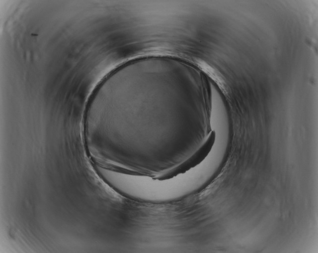 X0000091011334200708241504