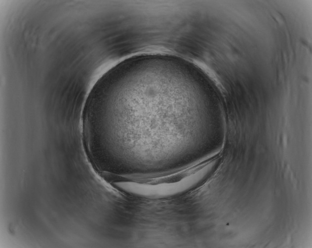 X0000091011335200708241504