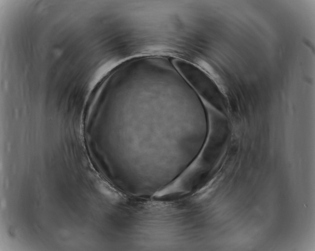 X0000091011336200708241504