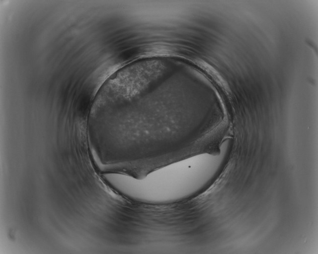 X0000091011337200708241504