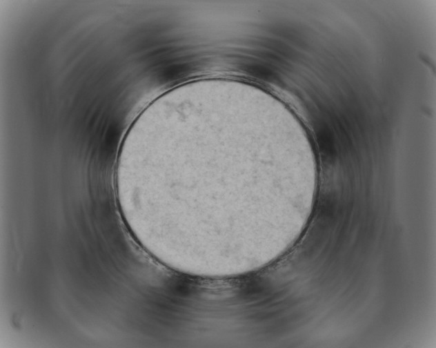 X0000091011338200708241504