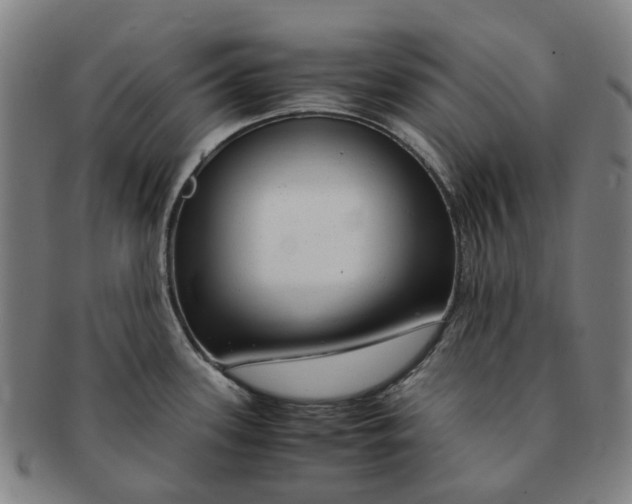 X0000091011339200708241504