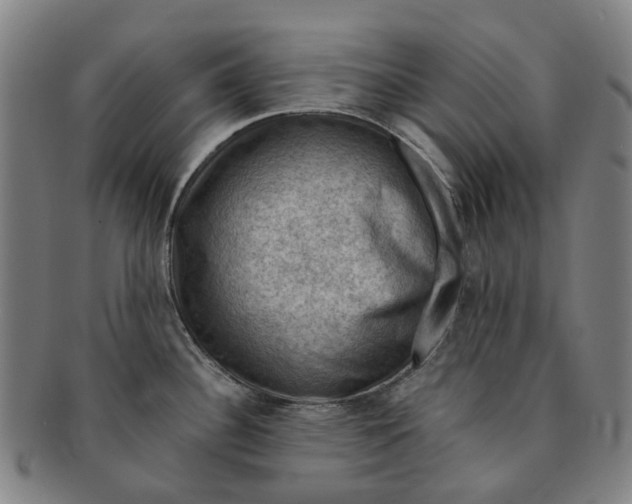 X0000091011340200708241504