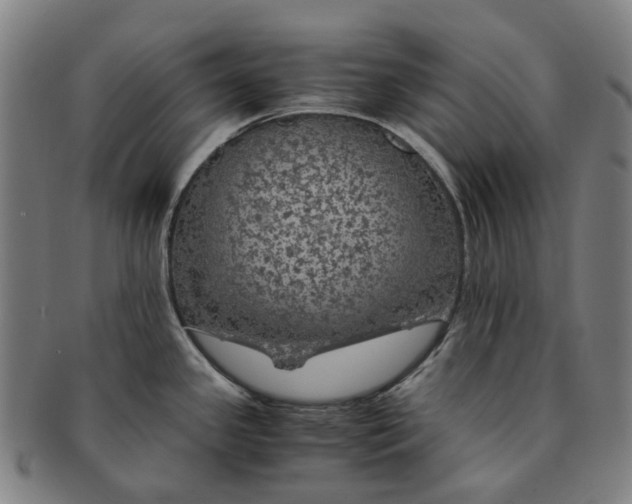 X0000091011341200708241504