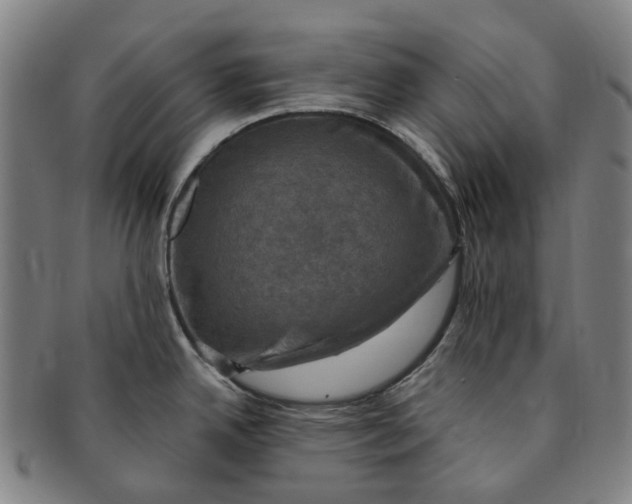 X0000091011342200708241504