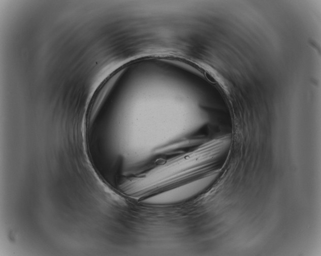 X0000091011343200708241504