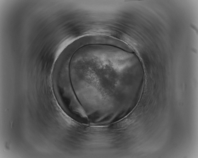 X0000091011344200708241504