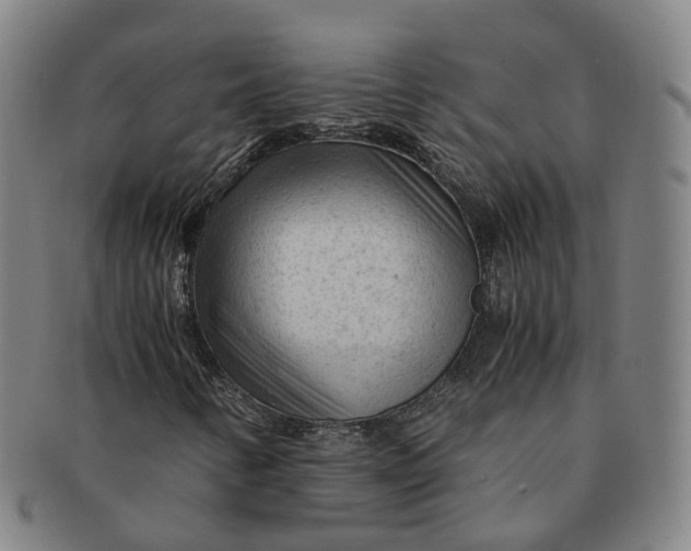 X0000091011346200708241503