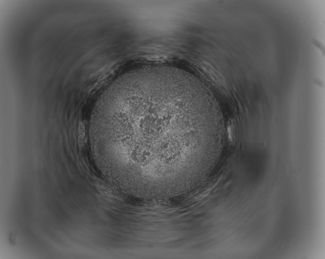 X0000091011347200708241503