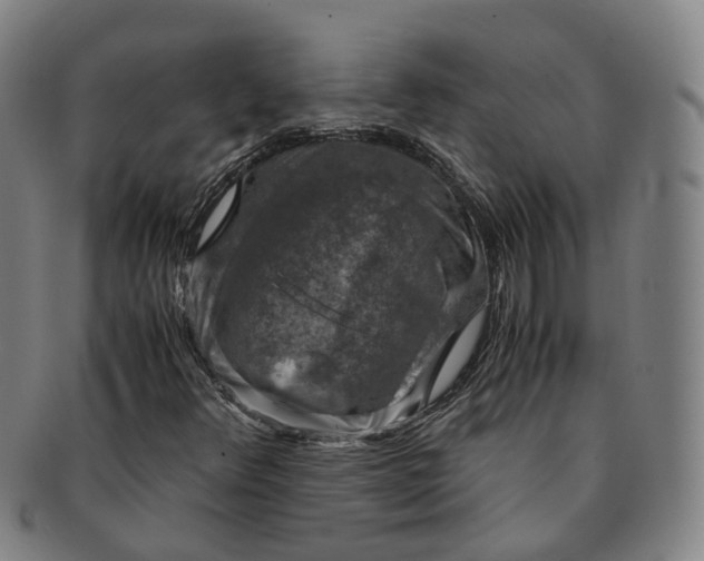 X0000091011348200708241503