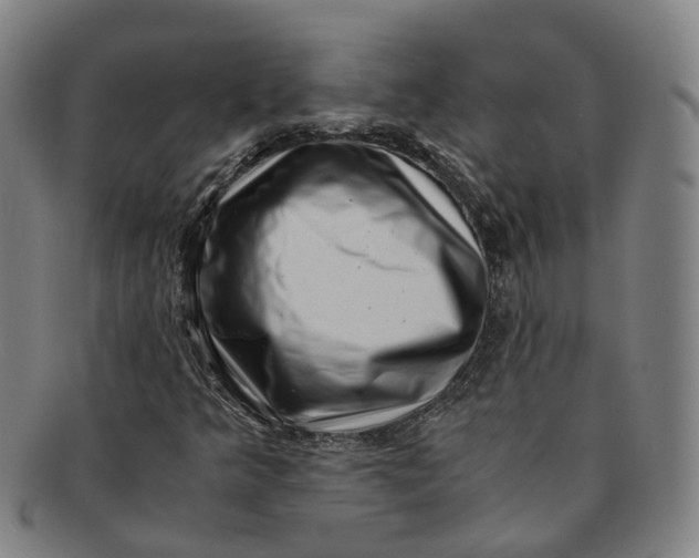 X0000091011349200708241503