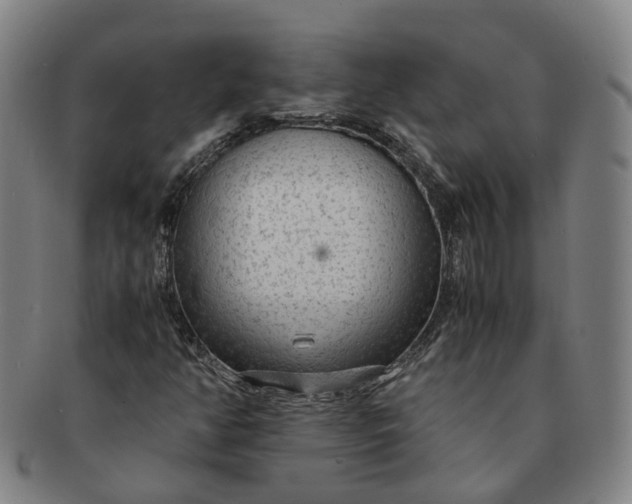 X0000091011350200708241503