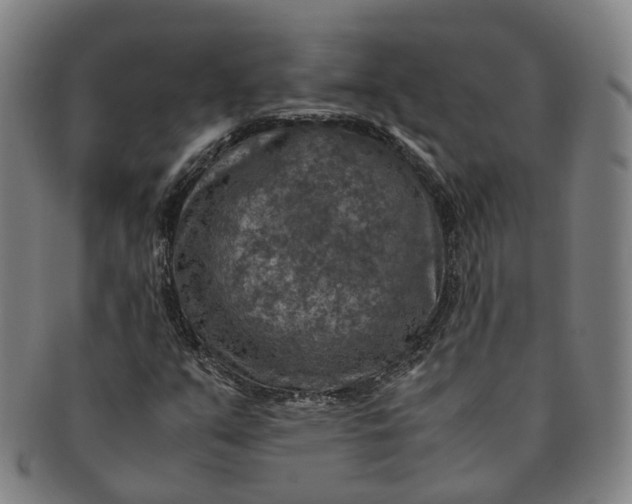 X0000091011351200708241503