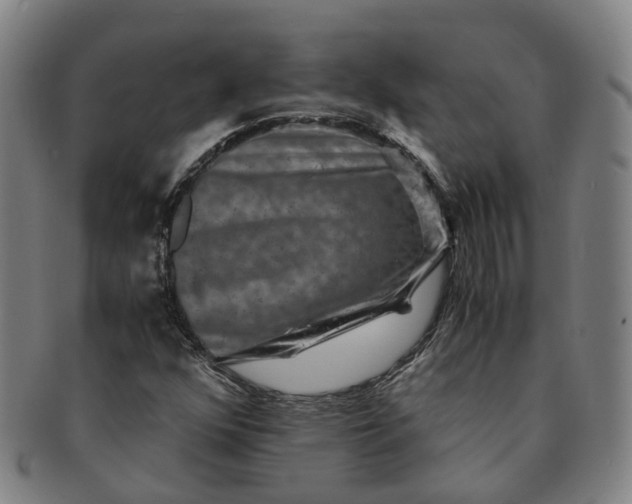 X0000091011352200708241503