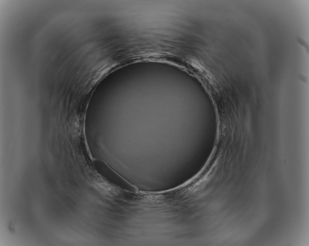 X0000091011353200708241503