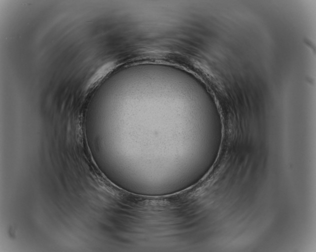 X0000091011354200708241503