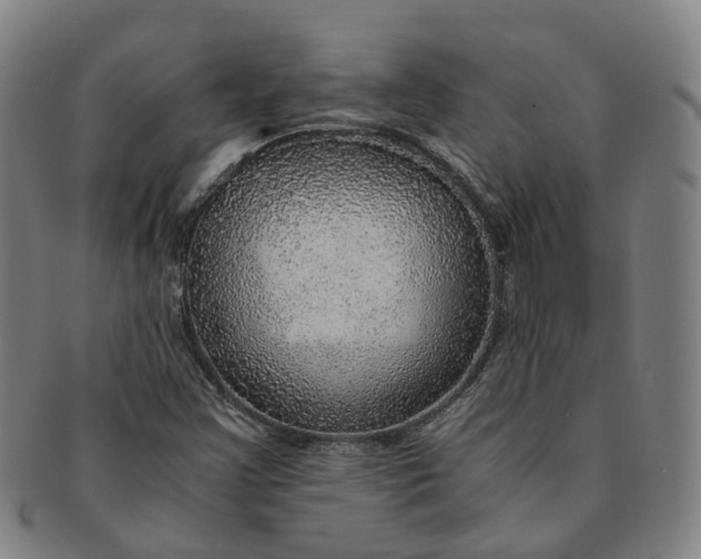 X0000091011355200708241503