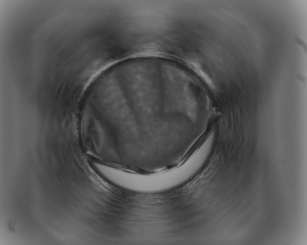 X0000091011356200708241503