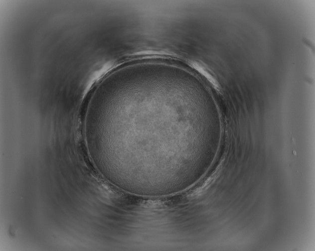 X0000091011357200708241503