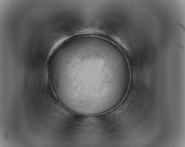 X0000091011358200708241503