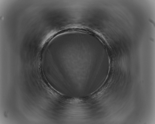 X0000091011359200708241503