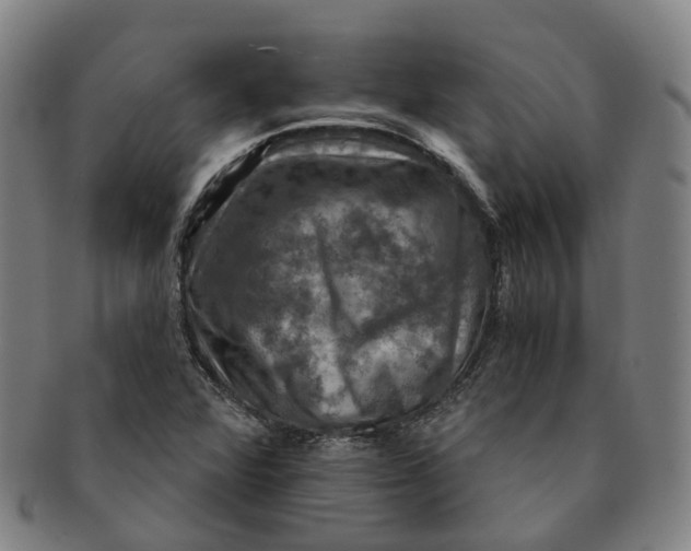 X0000091011360200708241503