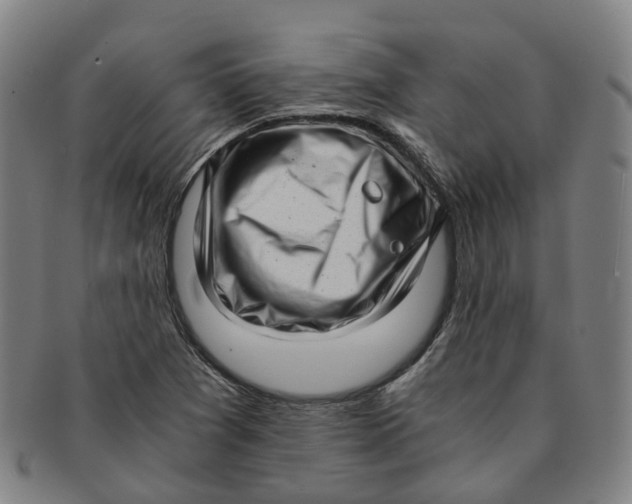 X0000091011361200708241503