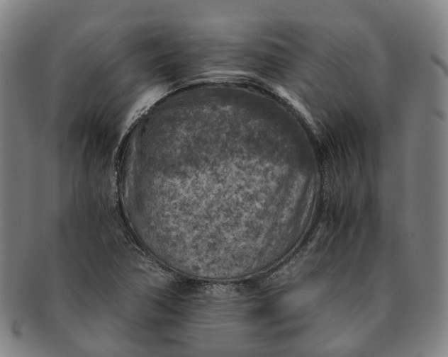 X0000091011362200708241503