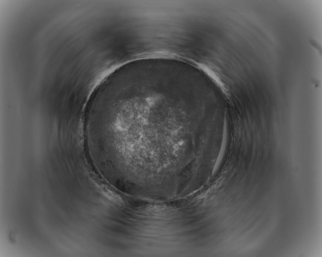 X0000091011364200708241503